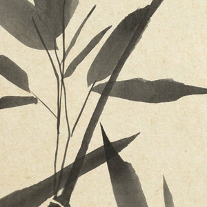 Pu&ograve; includere: Dipinto a inchiostro nero e bianco di foglie e steli di bamb&ugrave; su uno sfondo beige chiaro.