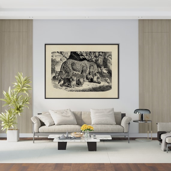 Vintage Leopards Poster Print, African Feline Lithography Engraving Illustration XIX Century Monochrome Decor Housewarming Eco Friendly Gift