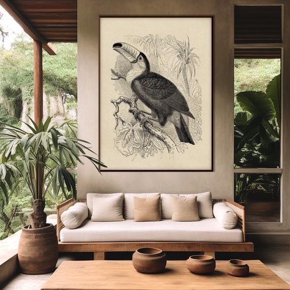 Vintage Toucan Jungle Print, Tropical Lithography Engraving Illustration XIX Century Monochrome Decor Housewarming Eco Friendly Gift