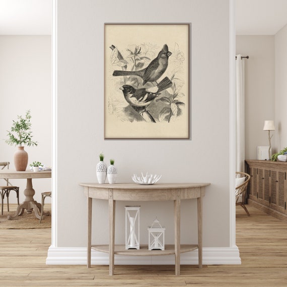 Vintage Northern Cardinal Bird Print, American Bird Lithography Engraving Illustration XIX Century  Decor Housewarming Eco Friendly Gift