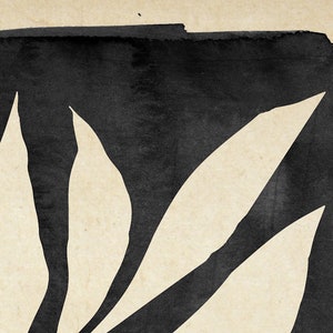 Lámina Poster Botanica Helechos y Hierbas, Ilustración Estilo Nórdico Abstracto Arte Pared Escandinavo Decoración Minimalista Moderna Boho imagen 5