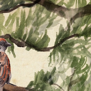 Pode incluir: Pintura em aquarela de um pardal empoleirado em um galho, com folhagem verde e galhos marrons ao fundo. O p&aacute;ssaro tem penas marrons e avermelhadas, um bico preto e um olho escuro. A obra de arte tem um estilo vintage.