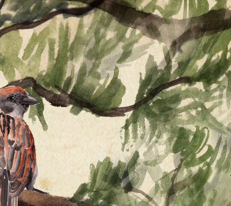 Pode incluir: Pintura em aquarela de um pardal empoleirado em um galho, com folhagem verde e galhos marrons ao fundo. O p&aacute;ssaro tem penas marrons e avermelhadas, um bico preto e um olho escuro. A obra de arte tem um estilo vintage.