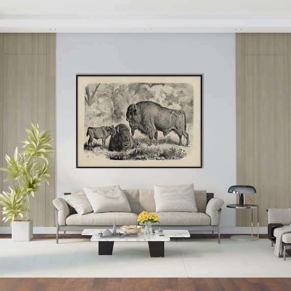 Vintage American Bison Poster Print, Antique Lithography Engraving Illustration XIX Century Monochrome Decor Housewarming Eco Friendly Gift
