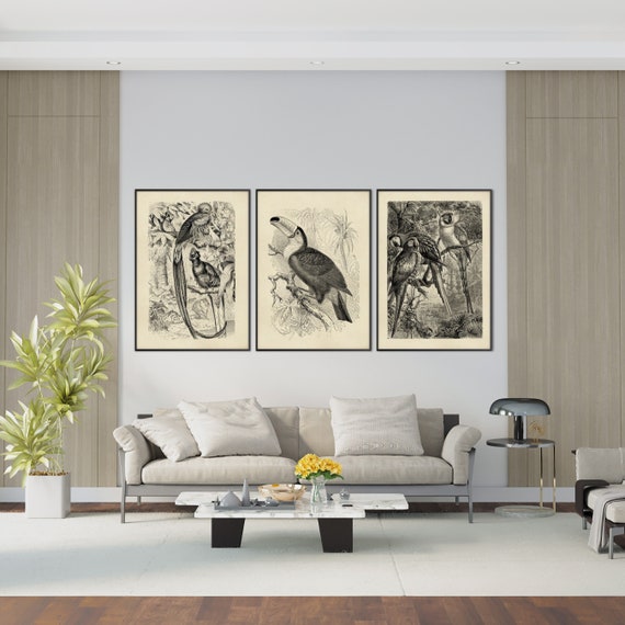 Set of Three Vintage Jungle Birds Print, Tropical Lithography Engraving Illustration XIX Century Decor Housewarming Eco Friendly Gift