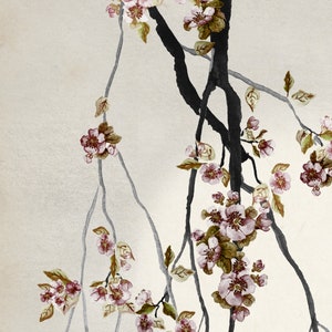 Detailed cutback about painting of cherry blossoms and branches