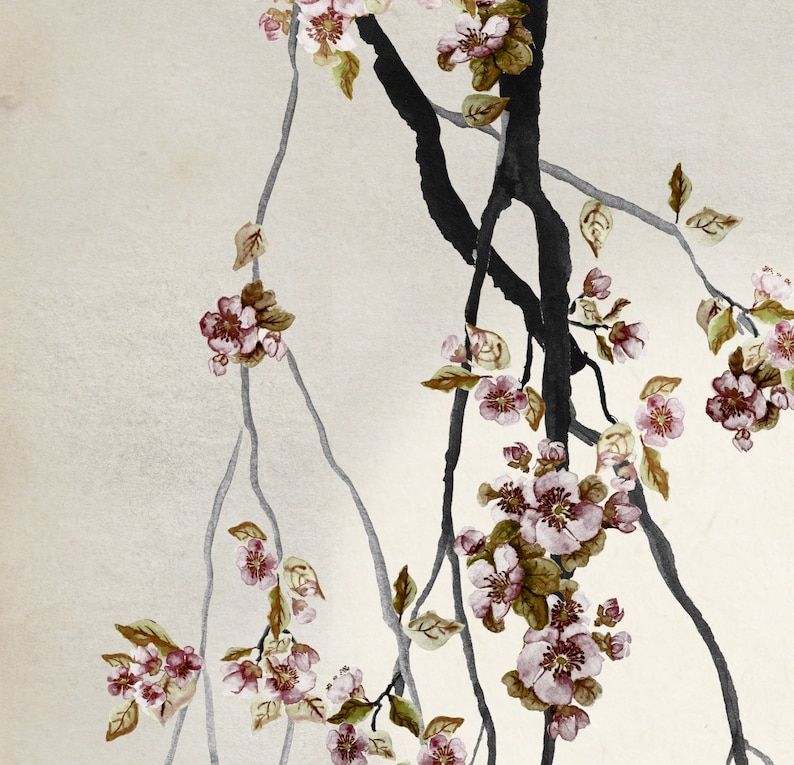 Detailed cutback about painting of cherry blossoms and branches