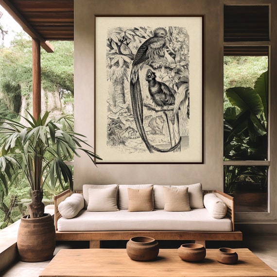 Vintage Quetzal Jungle Print, Tropical Lithography Engraving Illustration XIX Century Monochrome Decor Housewarming Eco Friendly Gift