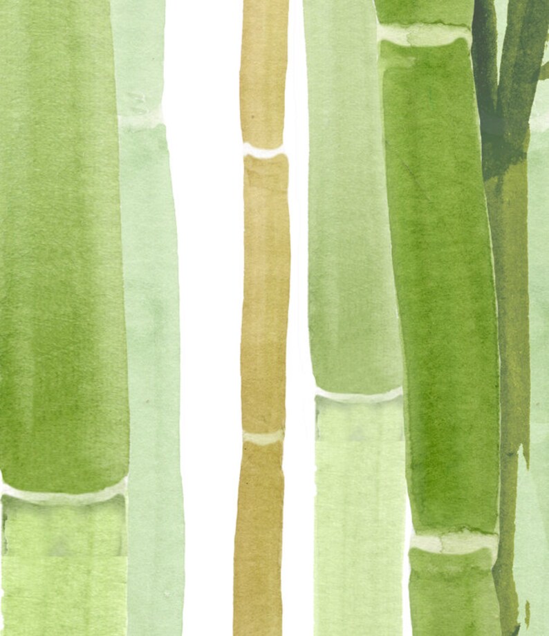 May include: A watercolor painting of bamboo stalks in shades of green and brown. The stalks are arranged vertically and are painted in a realistic style.