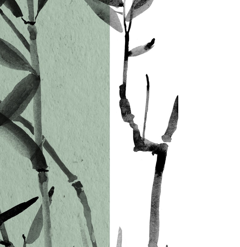 May include: Black and white ink illustration of two bamboo plants. The plants are drawn in a minimalist style with thin lines and delicate details. The background is a light green color.