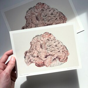 Coral print // fox coral illustration // ocean life // marine life poster // art print // coral drawing