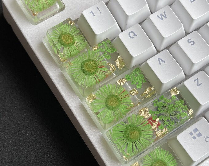 Epoxy Resin Artisan Keycap, Custom Keycaps, Botanical Keycaps, OEM SA ...