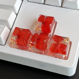 Aangepaste spatiebalk, Rode keycap, Resin spatiebalk, Leuke keycap, Aangepaste keycap, Esc keycap, Backspace keycap, Resin keycap set, Toetsenbord keycaps