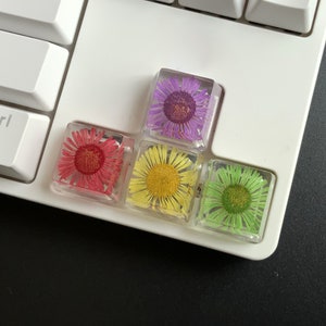 WASD keycaps set, Arrow keycaps set, Purple keycap, Red keycap, Green keycap, Esc keycap, Enter keycap, Cute keycap set, Mechanical keycaps