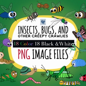 Cute Bug PNG, Insect PNG, Bug Png, Cute Bugs, Bug Clip art, insect clip art, bug images, insect images