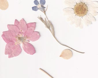 Commande personnalisée pour Golda | Cartes Numéros de Table