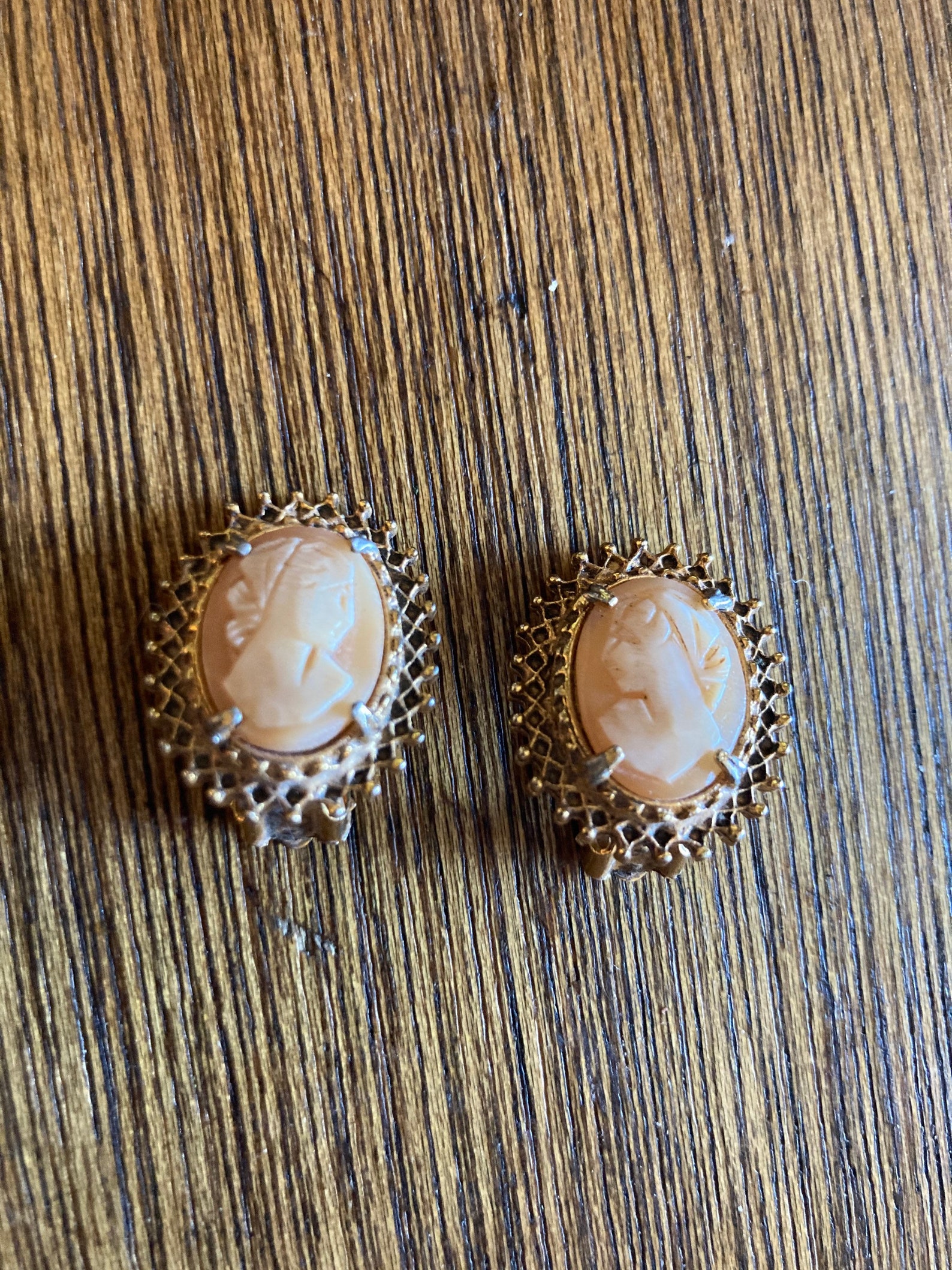 Vintage Florenza Shell Cameo Clip on Earrings Etsy
