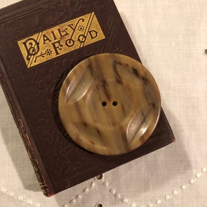 Puede incluir: Un botón grande, marrón y moteado con dos agujeros. El botón está encima de un libro marrón con las palabras "Daily Food" en la portada.