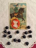 Black Bakelite Half Ball Buttons Set of 15