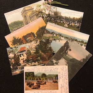Vintage Post Cards - Golden Gate Park San Francisco, CA-Set van 7