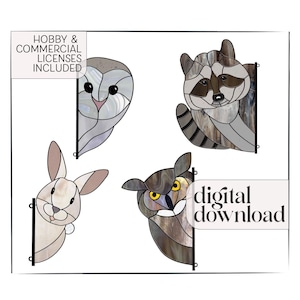 Stained Glass Animal Patterns: Owls, Raccoon, Rabbit Suncatchers (PNG & PDF Downloads)
