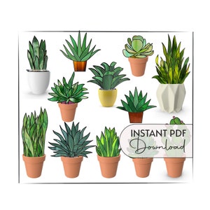 12 Stained Glass Plant Stem Patterns, flat and 3D succulents, 3D snake plant leaves and flat stems, plant stained glass patterns value pack