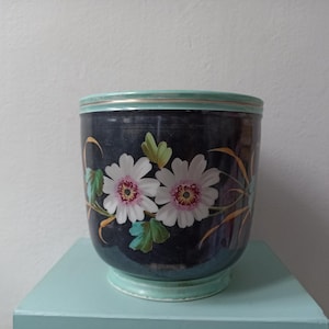May include: A dark blue ceramic planter with a light green rim and base. The planter features a floral design with two white flowers with pink centres and green leaves. The planter is on a light blue surface.