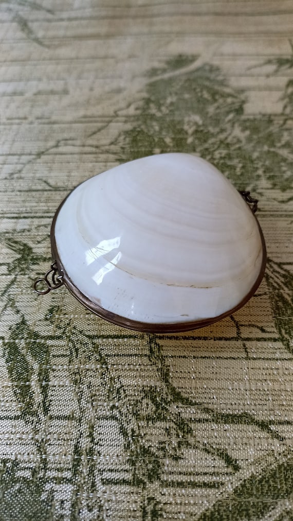Vintage Genuine  Clam Sea Shell Brass Hinged Jewel