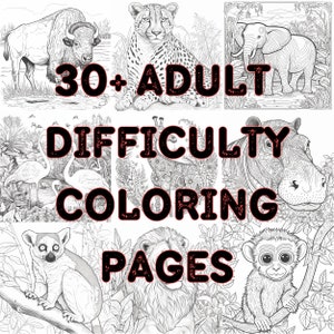 30+ Black and White Adult Coloring Pages - Zoo Animal Collection - Digital Download