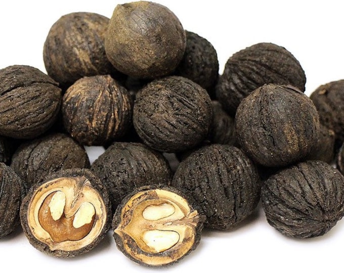 25 Black Walnuts in Shell, Fresh Walnuts Etsy