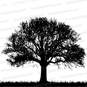 Oak Tree Silhouette Graphic Digital Download - SVG PNG JPEG pdf