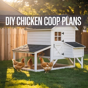 Planos para gallinero en PDF — Gallinero de 1,2 x 2,4 m (4 x 8 pies) para construir en el patio trasero con corral — Capacidad para 4 a 6 gallinas — Planos de construcción a prueba de depredadores — Descarga instantánea