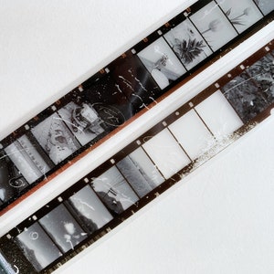 Sample PET-tape Skyline (met papier aan de achterkant)