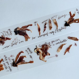 Sample PET-tape Mr aubergine katoenbloemen (met papier aan de achterkant)