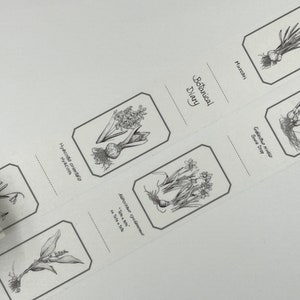 MUSTER Washi Tape Botanisches Tagebuch