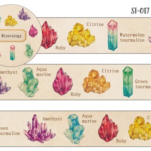 15mm width GreenFlash Study Holic Paleontology / Mineralogy / Astronomy Dinosaur / Mineral Ore / Constellation Washi Masking Tape image 3