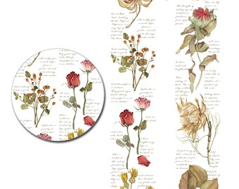 Largeur 35 mm | OKMT TAPE - Masking tape en Washi avec des bouquets de fleurs séchées et des feuilles