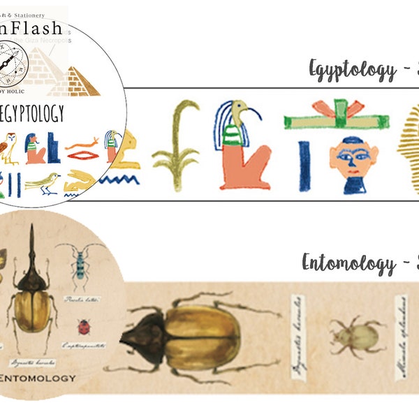 15mm width | GreenFlash - Study Holic - Egyptology / Entomology - Egypt / Insect / Specimen / Encyclopedia / Educational Washi Masking Tape