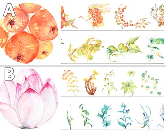 May include: A watercolor illustration of a collection of orange fruits, a pink lotus flower, and various green and blue floral elements. The floral elements are arranged in rows and include leaves, stems, and flowers.