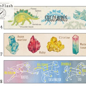 15mm width | GreenFlash - Study Holic - Paleontology / Mineralogy / Astronomy - Dinosaur / Mineral Ore / Constellation Washi Masking Tape