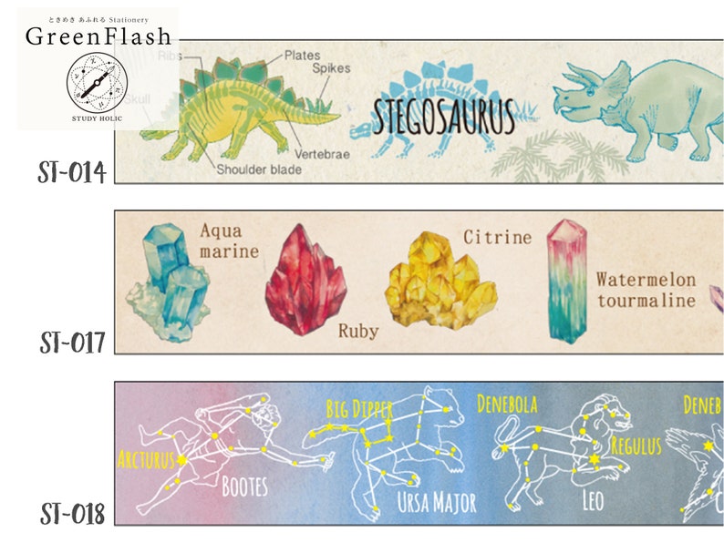 15mm width GreenFlash Study Holic Paleontology / Mineralogy / Astronomy Dinosaur / Mineral Ore / Constellation Washi Masking Tape image 1