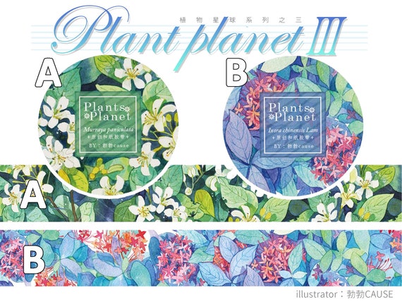 Hua Tape In Blossom 33mm width Antique Store the Shop around the Corner Washi Masking Tape