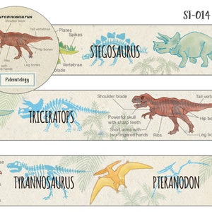 15mm width GreenFlash Study Holic Paleontology / Mineralogy / Astronomy Dinosaur / Mineral Ore / Constellation Washi Masking Tape image 2