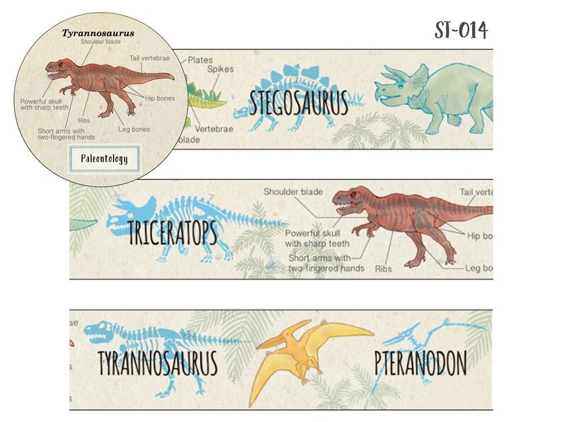 15mm width GreenFlash Study Holic Paleontology / Mineralogy / Astronomy Dinosaur / Mineral Ore / Constellation Washi Masking Tape image 2