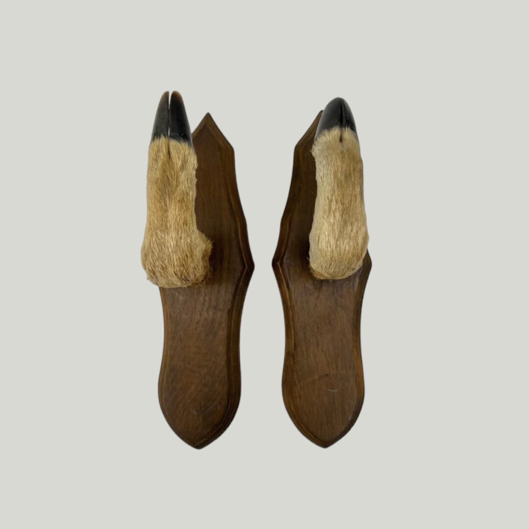 Taxidermy Deer Hooves Deer Hoof Gun Rack Hunting Decoration Etsy