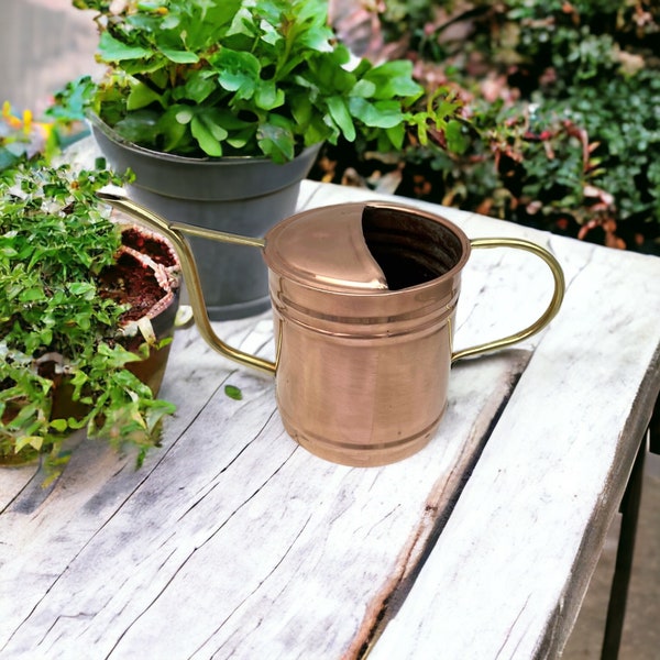 French Indoor Copper Watering Can, Copper Houseplant Watering Can, Pot Plant Watering Can, Copper Home Decor, Gardening Gift, 1 litre (C29)
