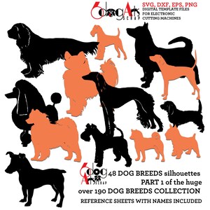 48 x Silhouettes de race de chien fichiers numériques vectoriels Svg Dxf Eps Png Silhouette Cricut imprimable Téléchargement instantané papier vinyle découpe JB-244c