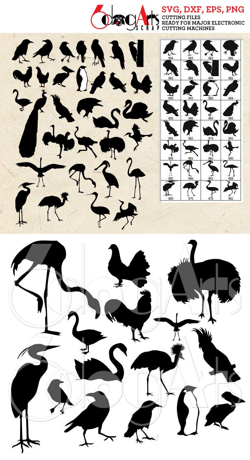 Download Bird Silhouettes Vector Digital Cut Files Svg Dxf Eps Png ...