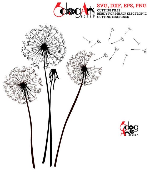 Download Dandelions Digital Cut Files SVG DXF Silhouette Cricut | Etsy