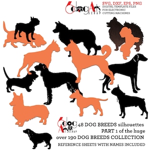 48 x Silhouettes de race de chien fichiers numériques Svg Dxf Png Silhouette Cricut imprimable Téléchargement instantané papier vinyle découpe laser JB-244d